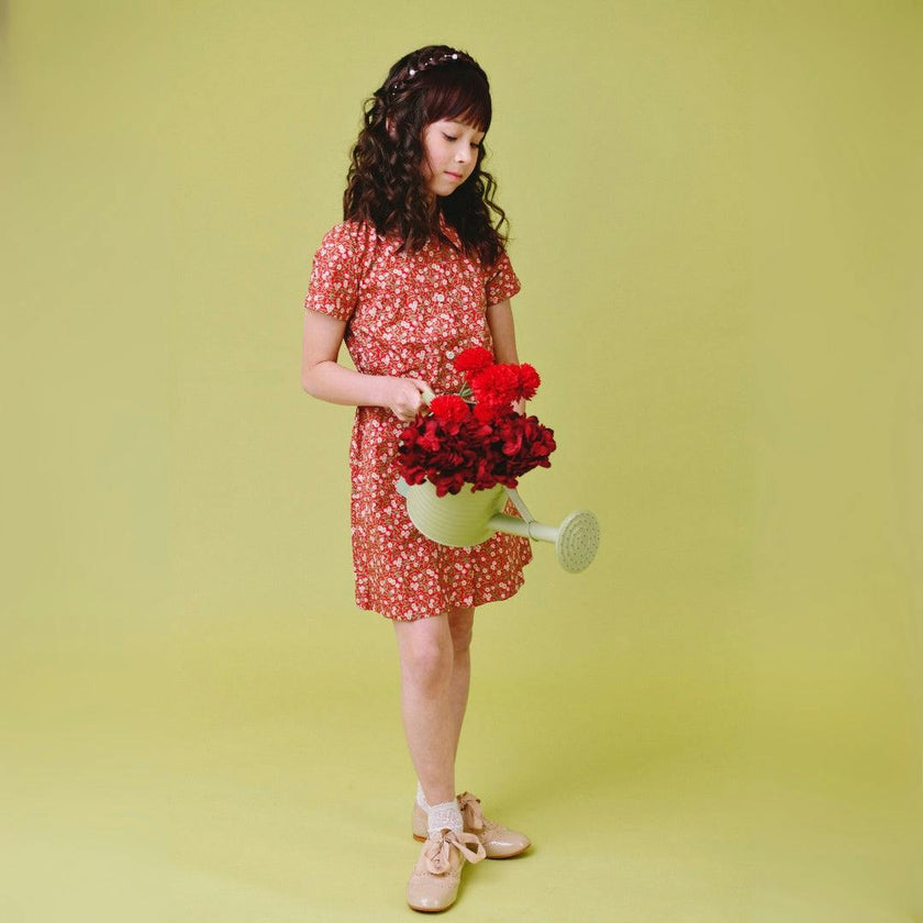 Eaton Dress - Ruby Chintz