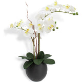 Artificial White Double Stem Orchid