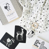 Gift Set Baby Animal s