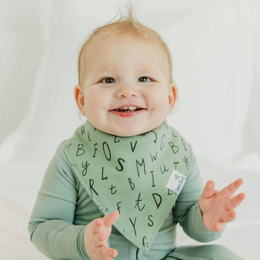 4 Pack Baby Bandana Bibs - Chip