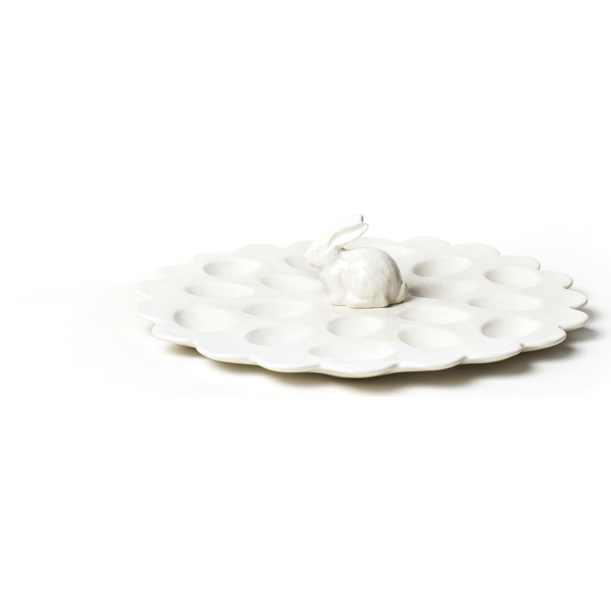 Egg Tray with Shaped White