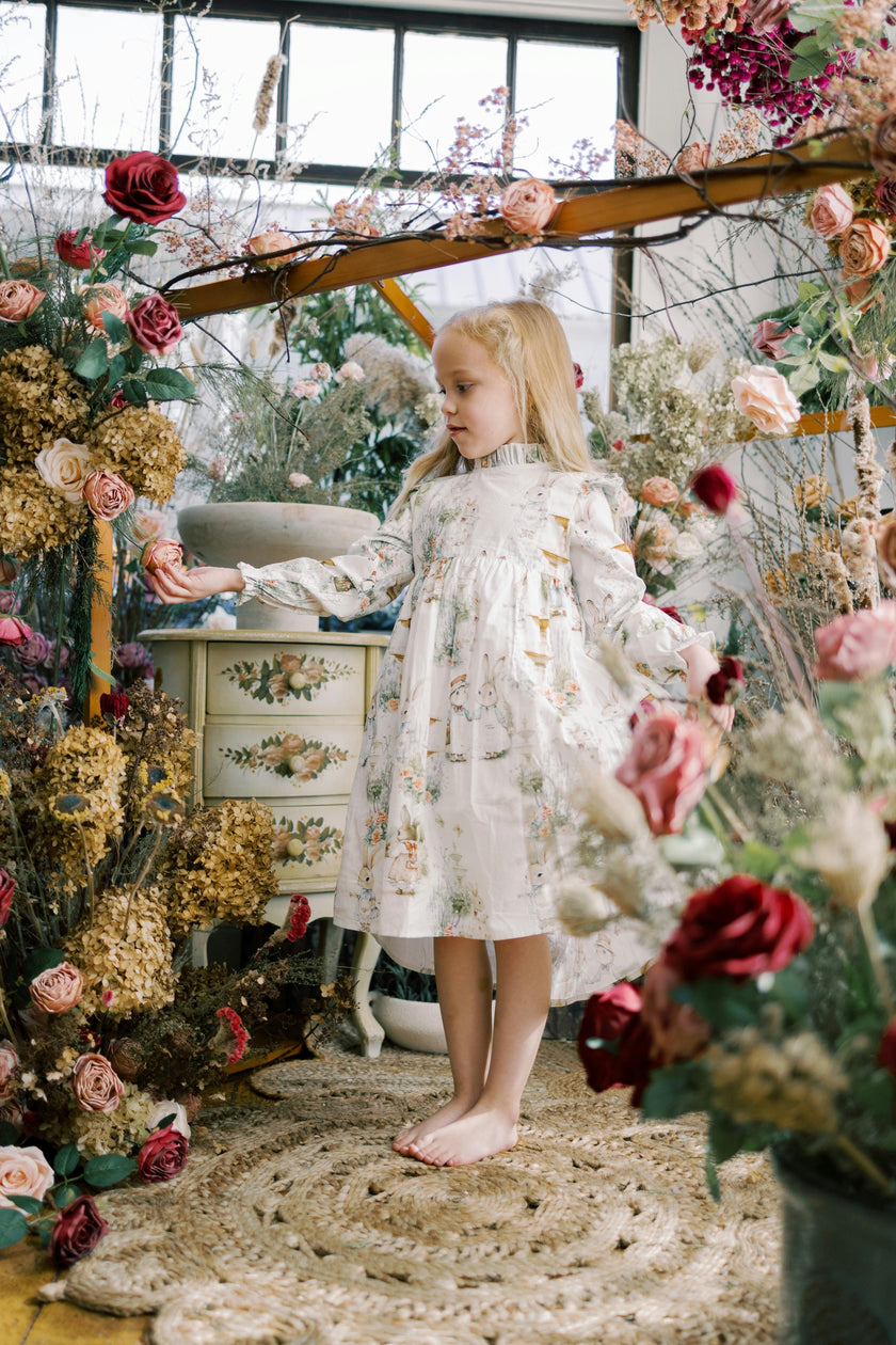 Aoki  Dress | Long Sleeve