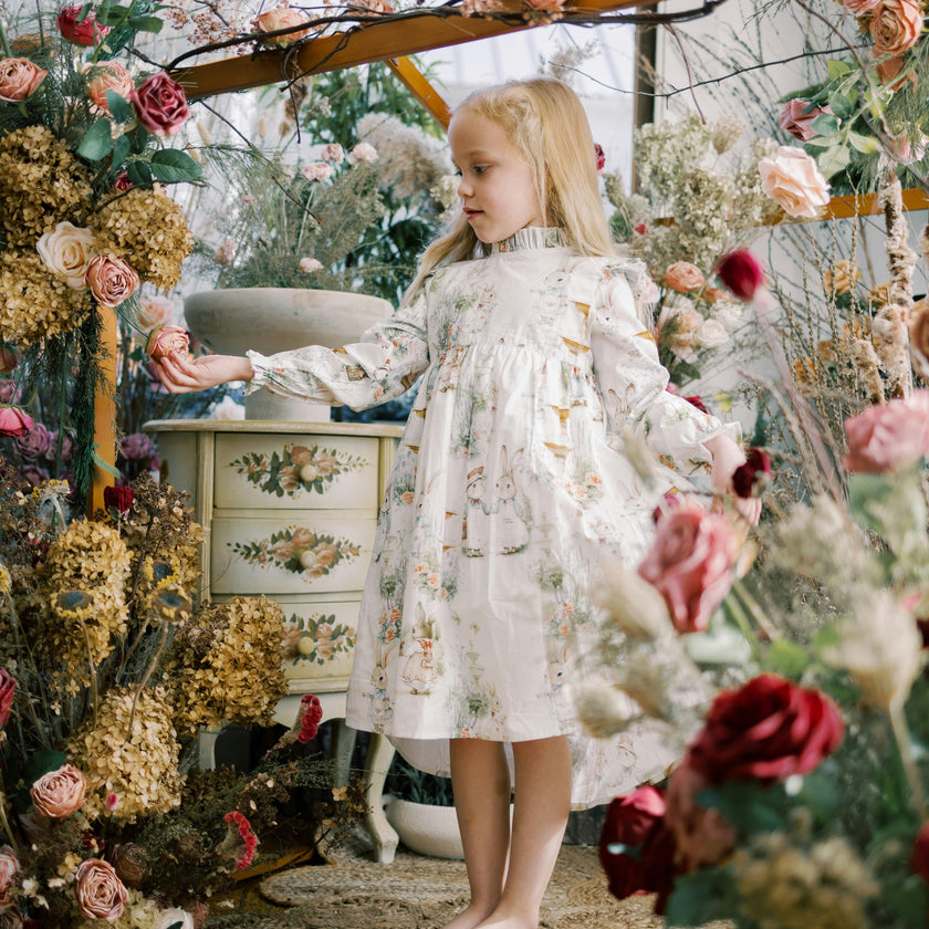 Aoki  Dress | Long Sleeve
