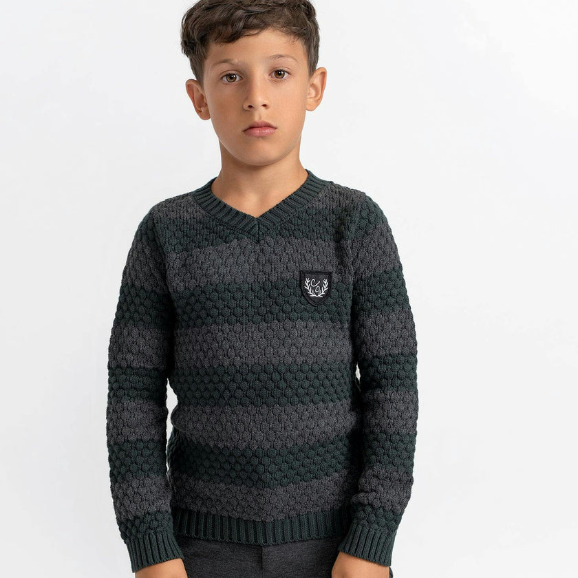 Striped Knit Vneck Sweater Forest/Charcoal