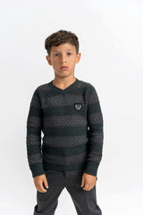 Striped Knit Vneck Sweater Forest/Charcoal