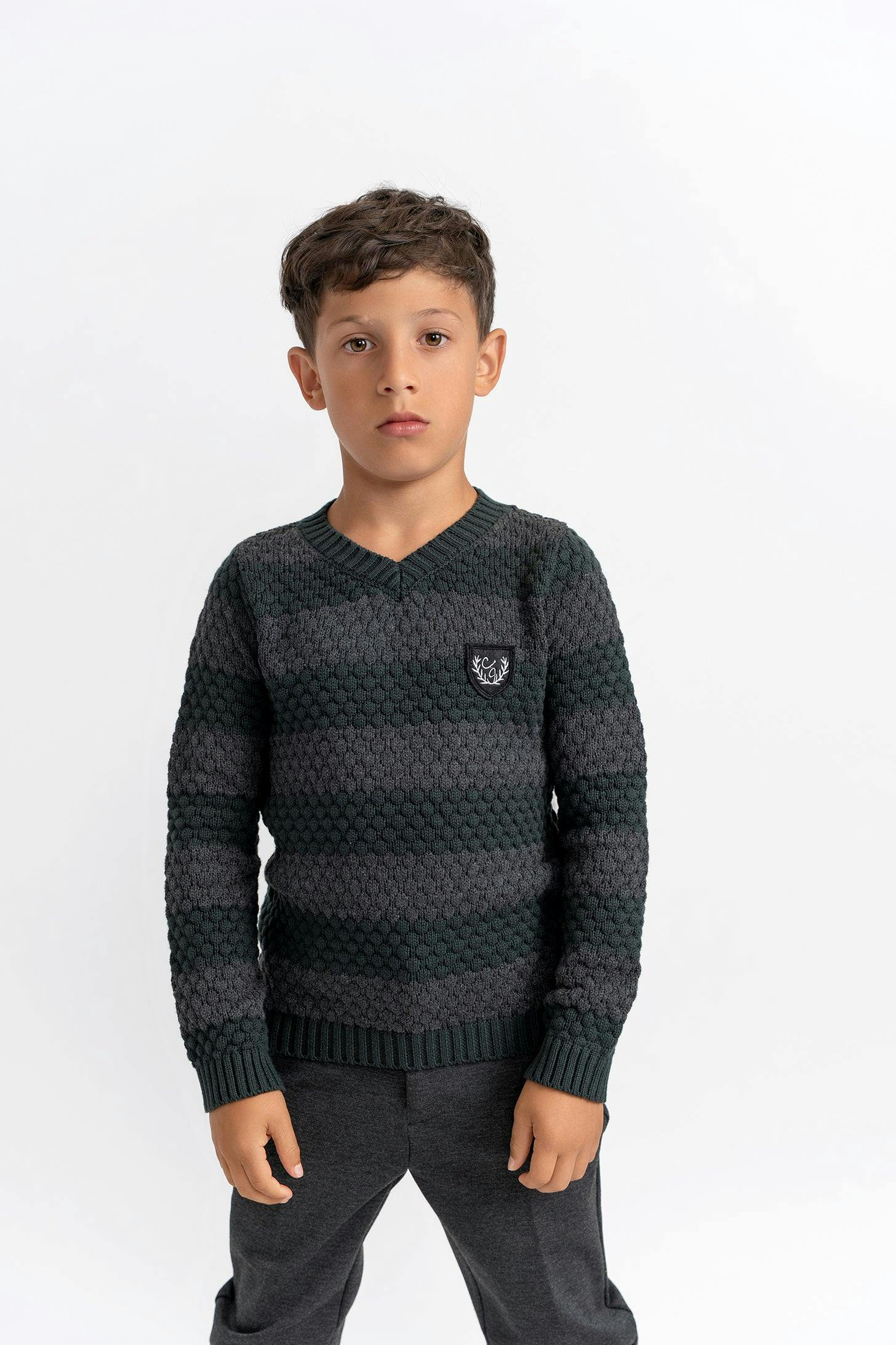 Striped Knit Vneck Sweater Forest/Charcoal