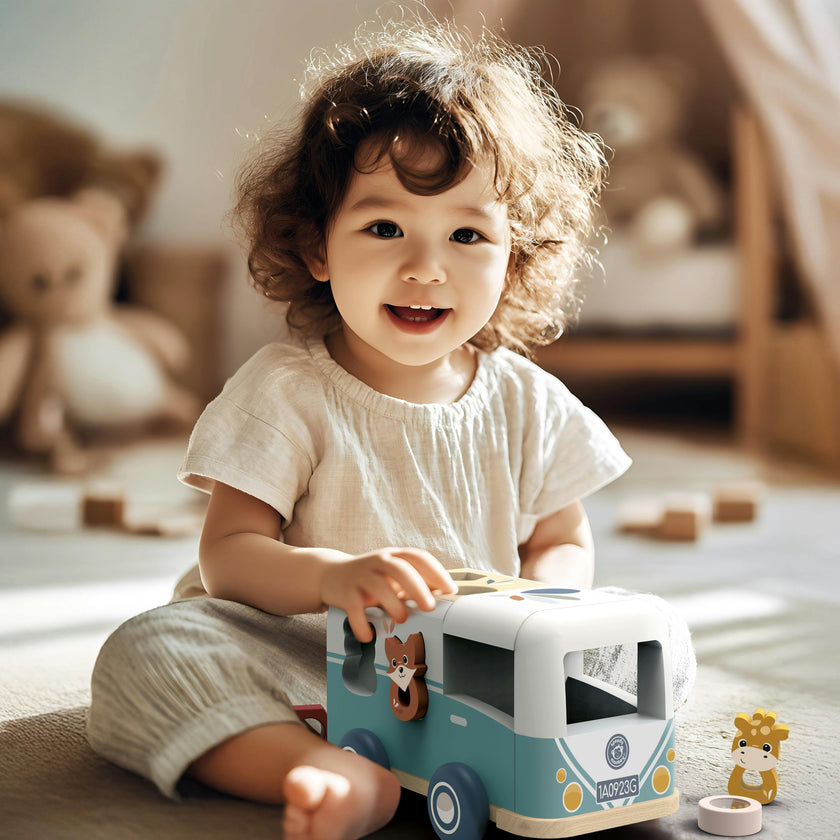 Van Shape Sorter