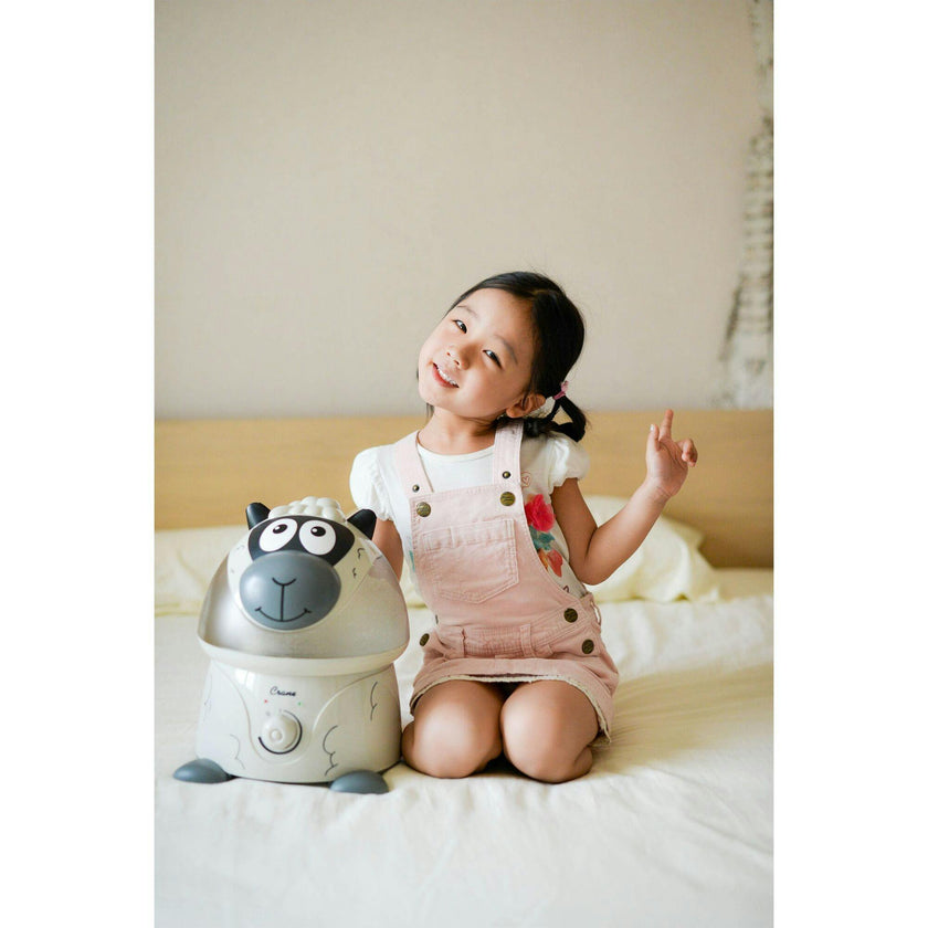 Adorable Ultrasonic Humidifier