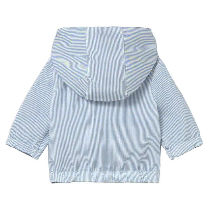 Light Blue Striped Hooded Jacket