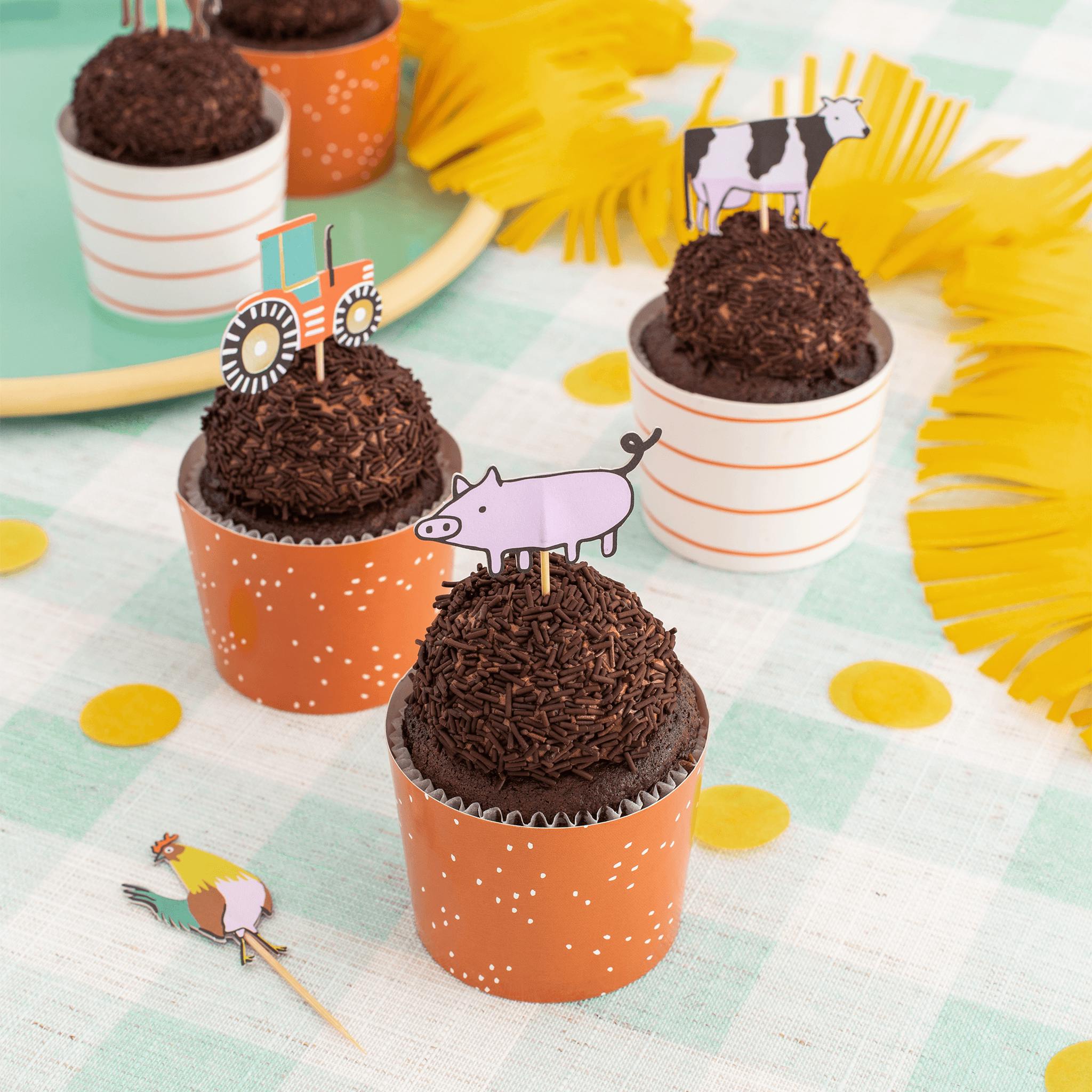 On the Farm  Cupcake Decorating Set
