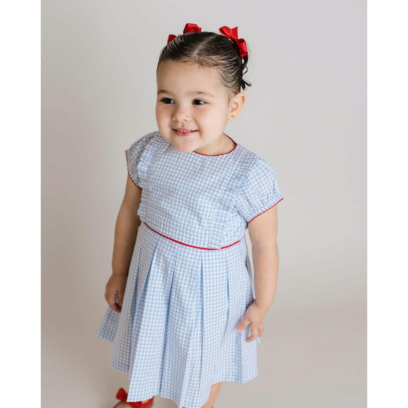 Gingham Pleated Dress