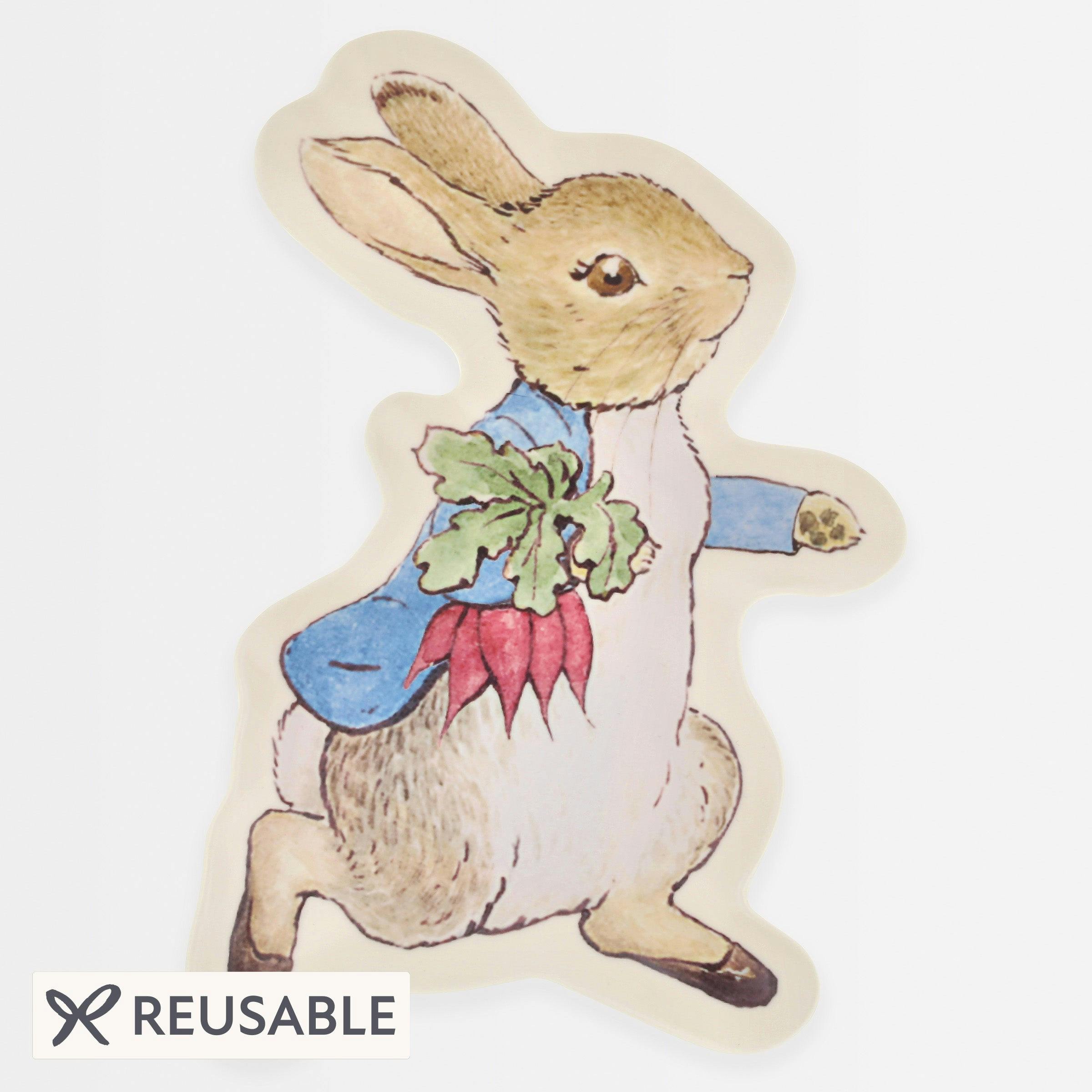 Peter Rabbit™ Reusable Plate