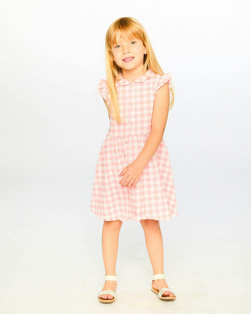 Sleeveless Button Down Dress Pink Gingham