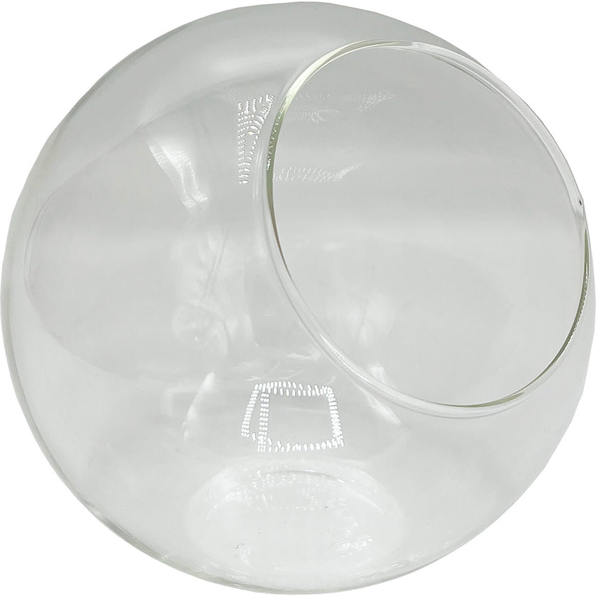 Glass Terrarium: Classic 5"