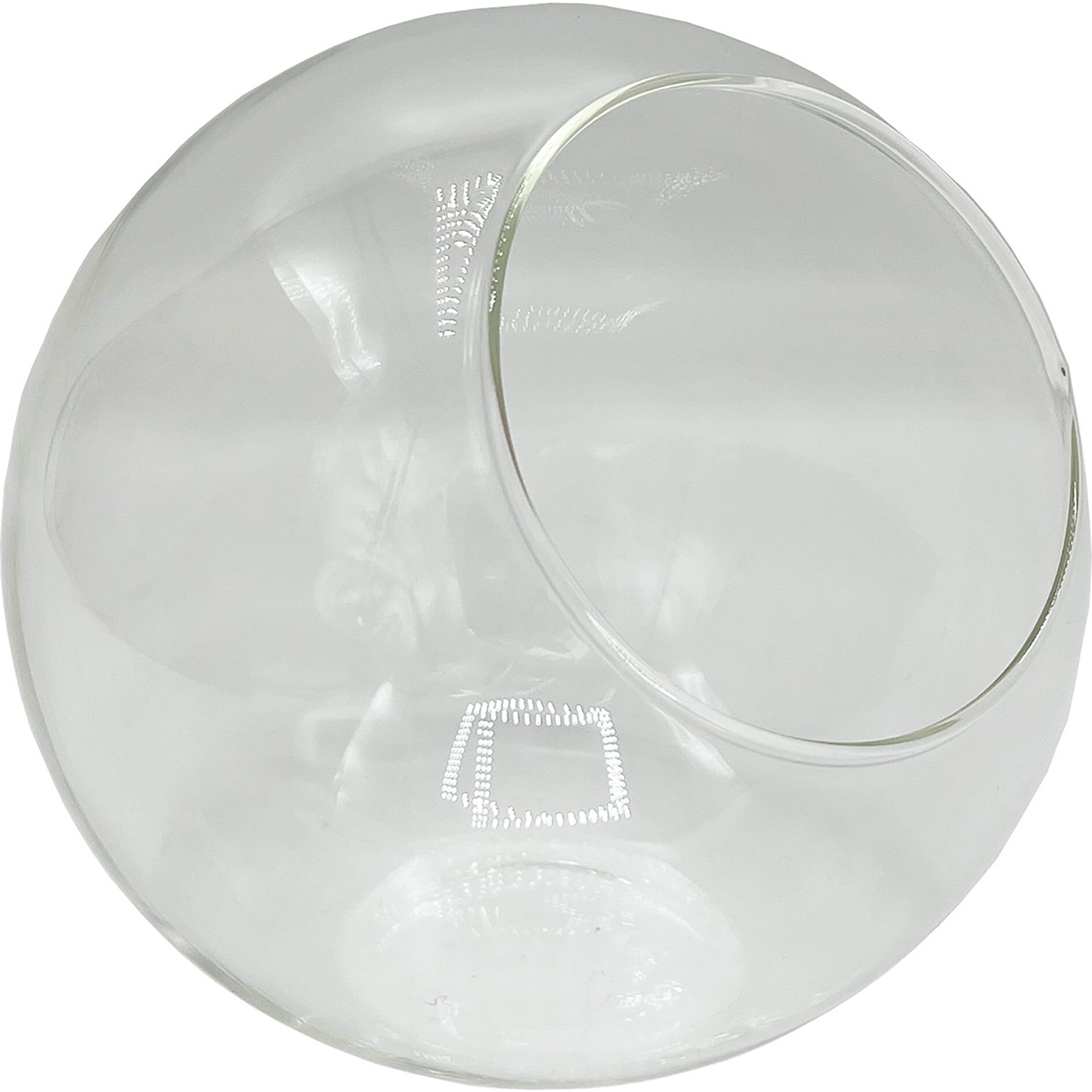 Glass Terrarium: Classic 5