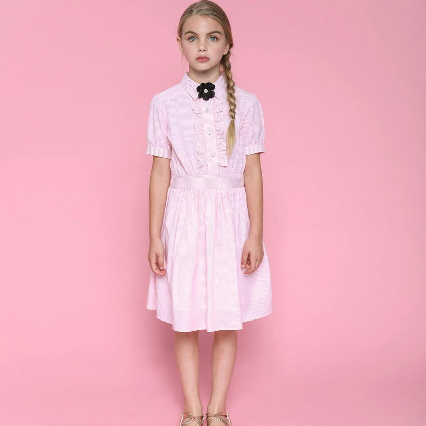 Ariel (light blue stripe)