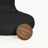 Basketball Hoop