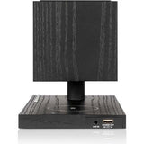 Revive Speaker