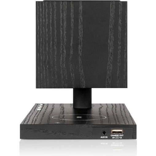 Revive Speaker