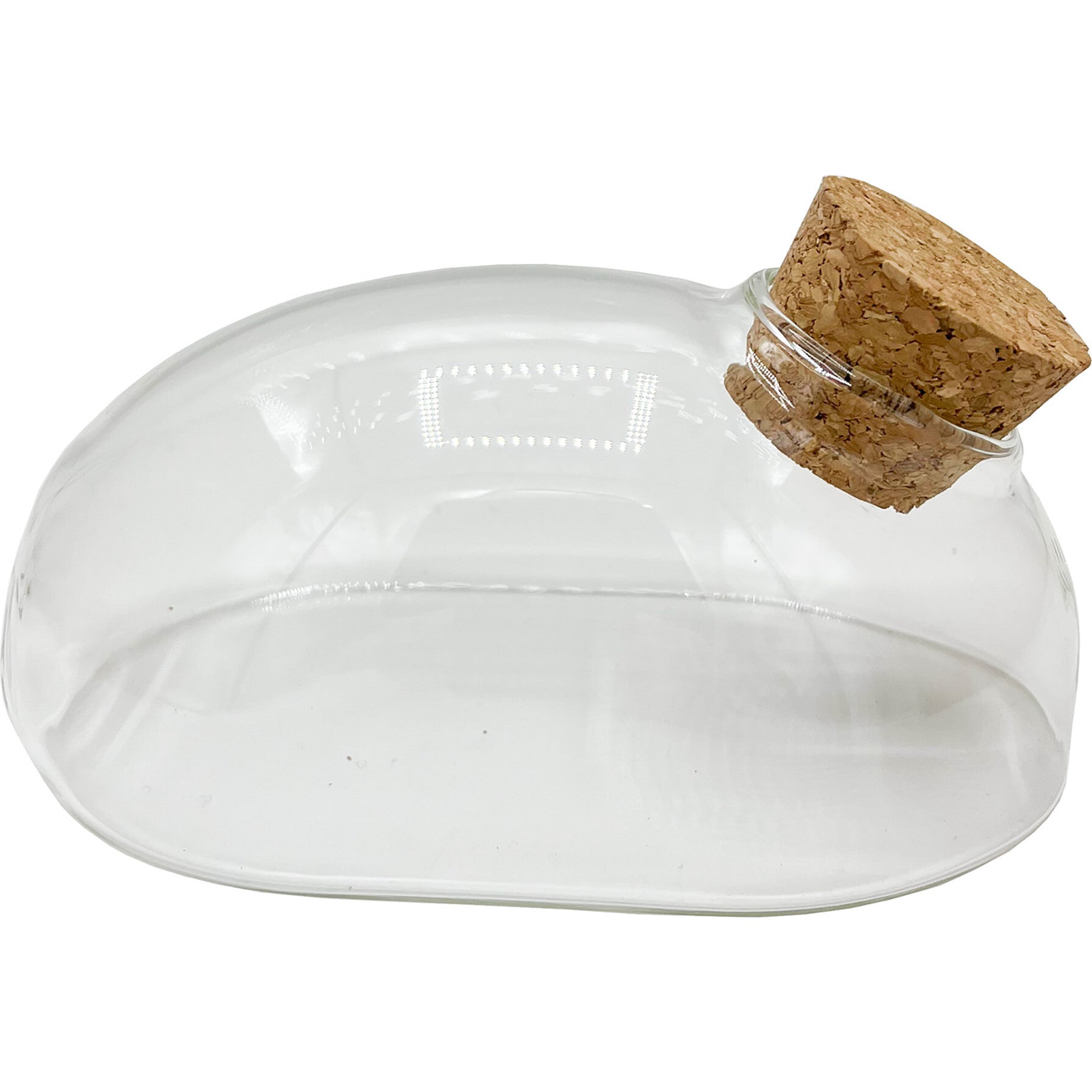 Glass Terrarium: