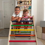Classic Climber Playset