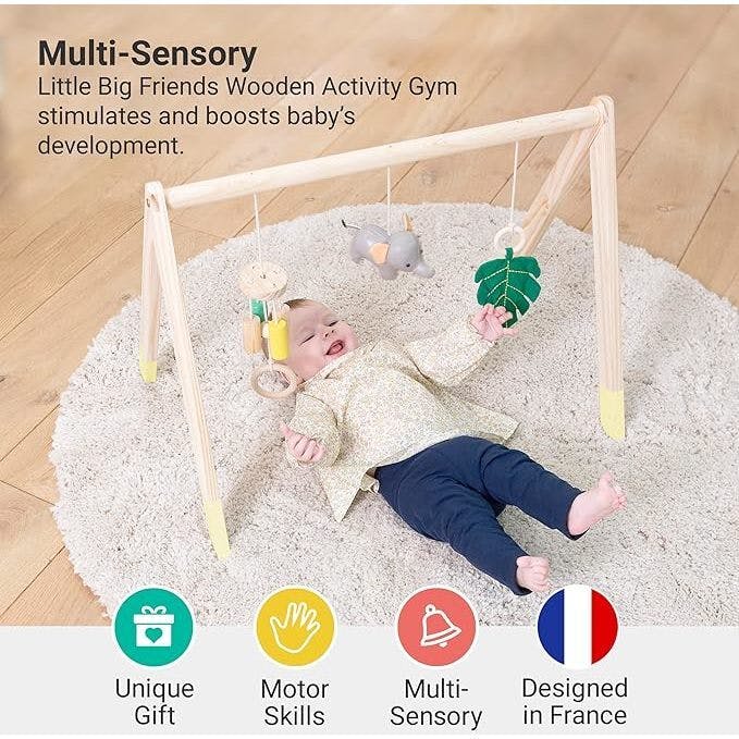 Wooden Activity Gym - Jungle