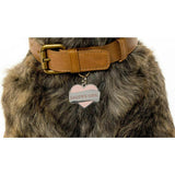 Daddy's Girl Pet ID Tag