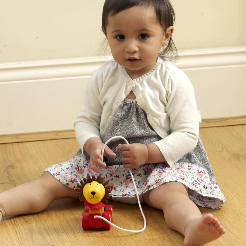 Orange Tree Toys: Pull Along: - Wooden Toy