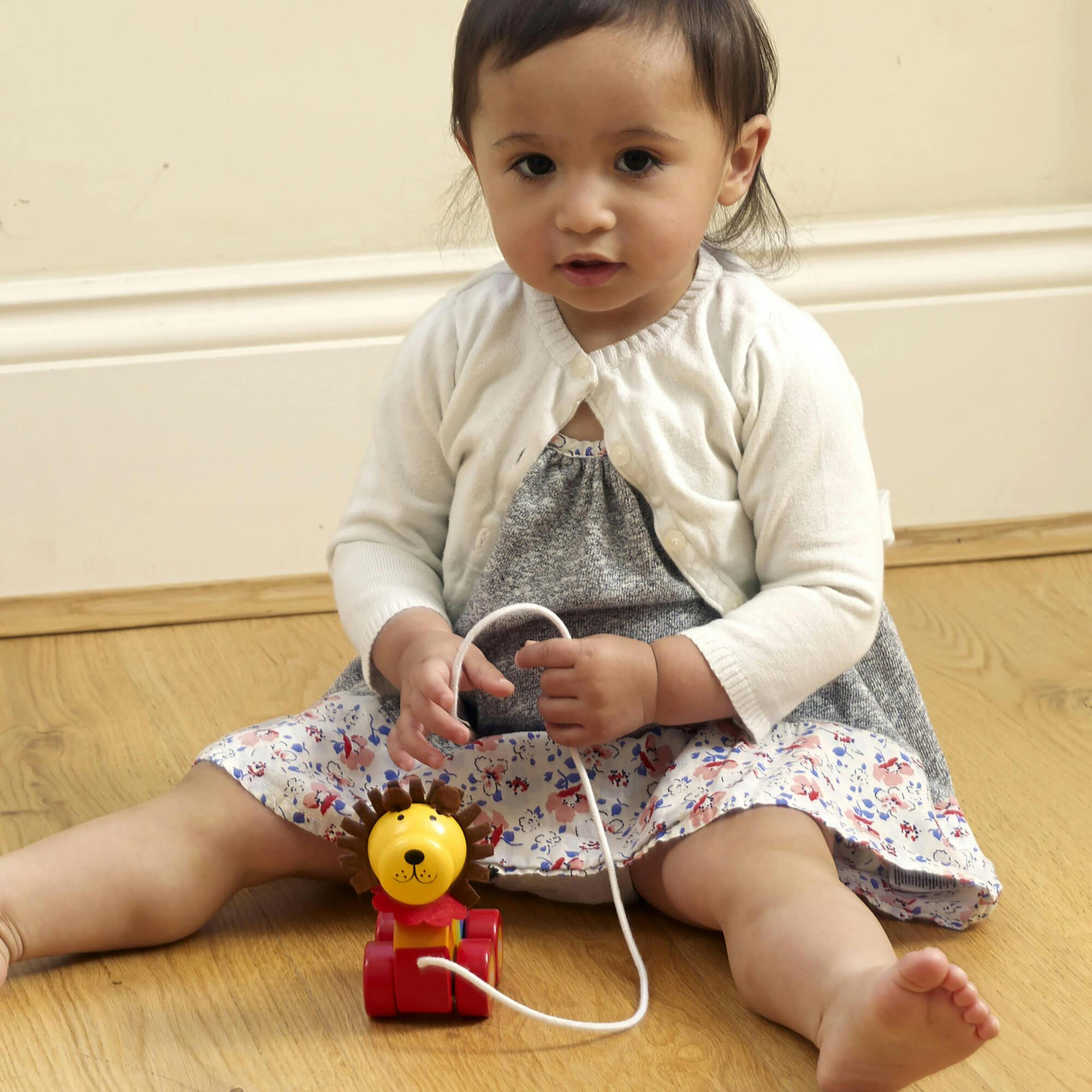 Orange Tree Toys: Pull Along: - Wooden Toy