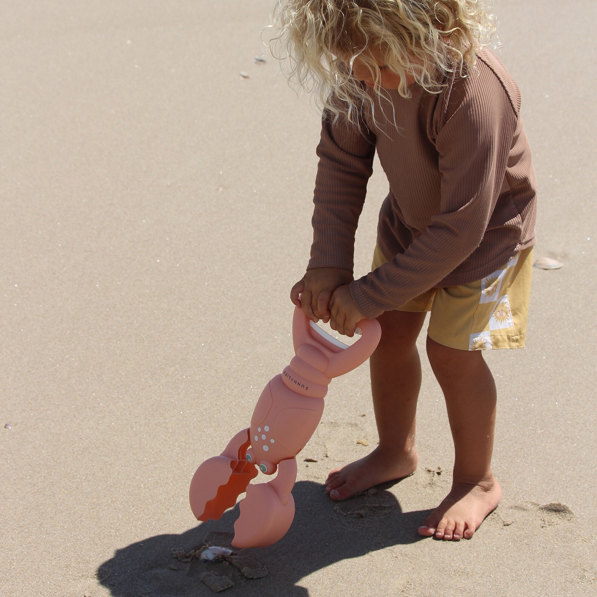 Sand Claws: Lobster