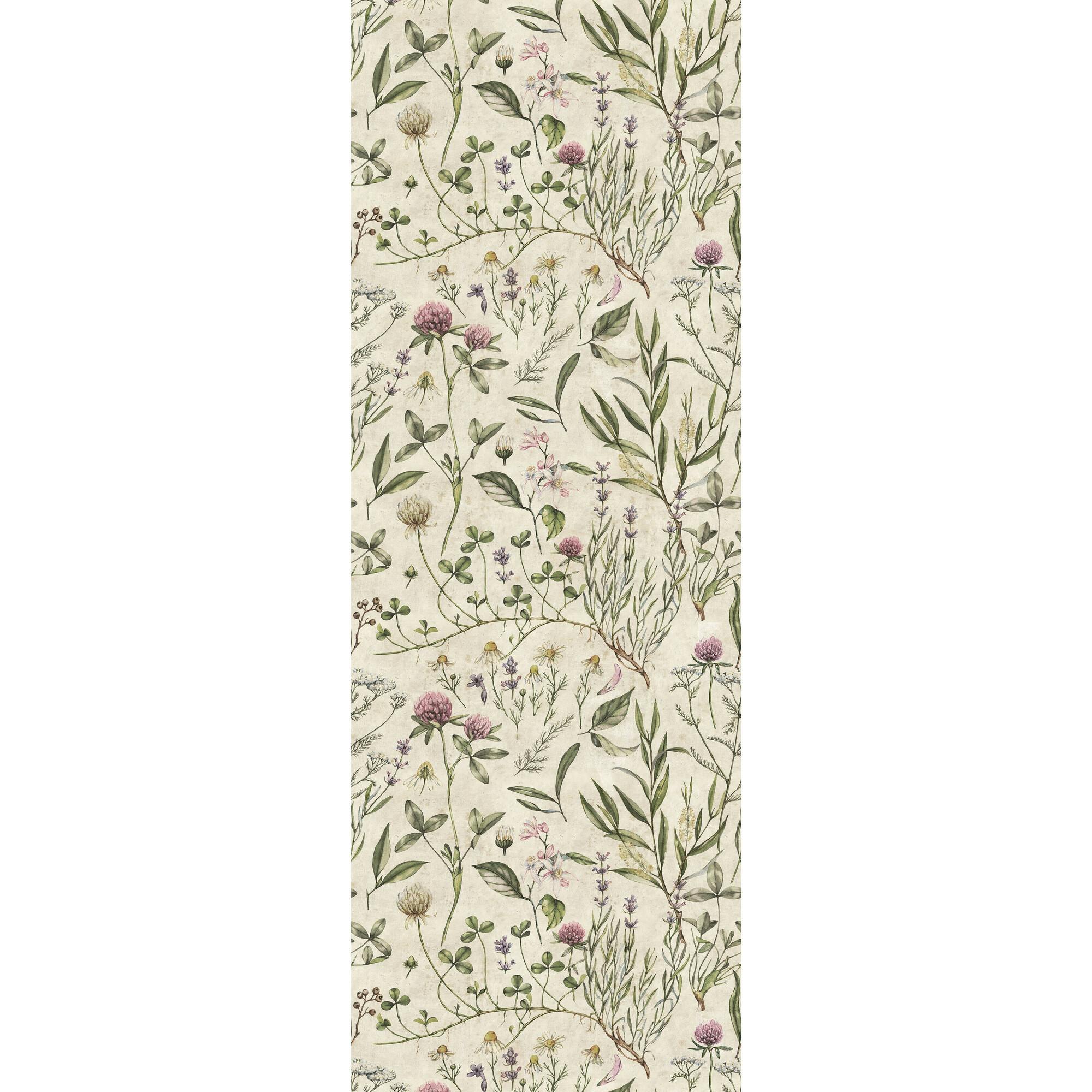 Vintage Illustration Wallpaper