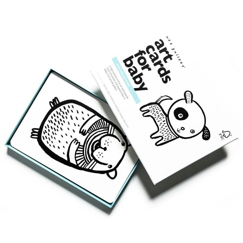 Pets Art Cards for Baby
