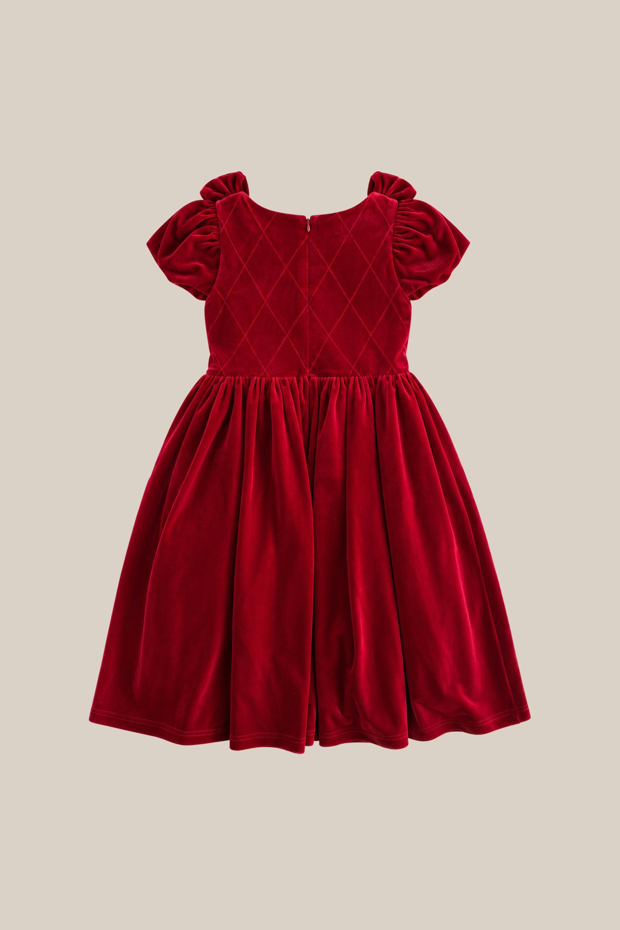 Mini Tiara Dress in Poinsettia Velvet