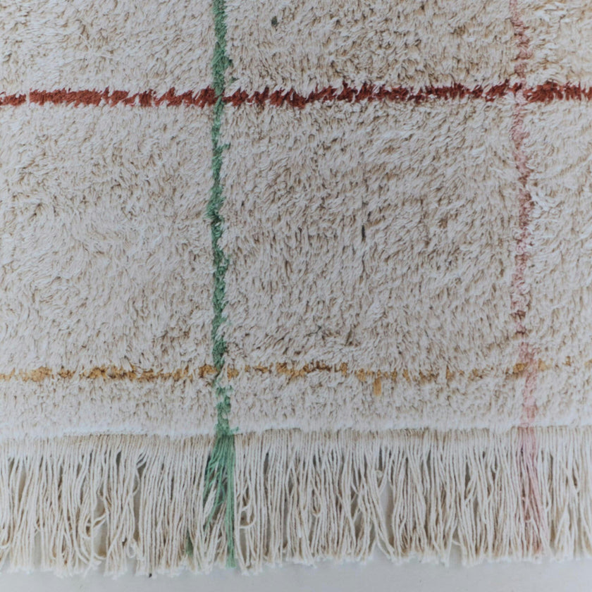 Washable Rug. Multi