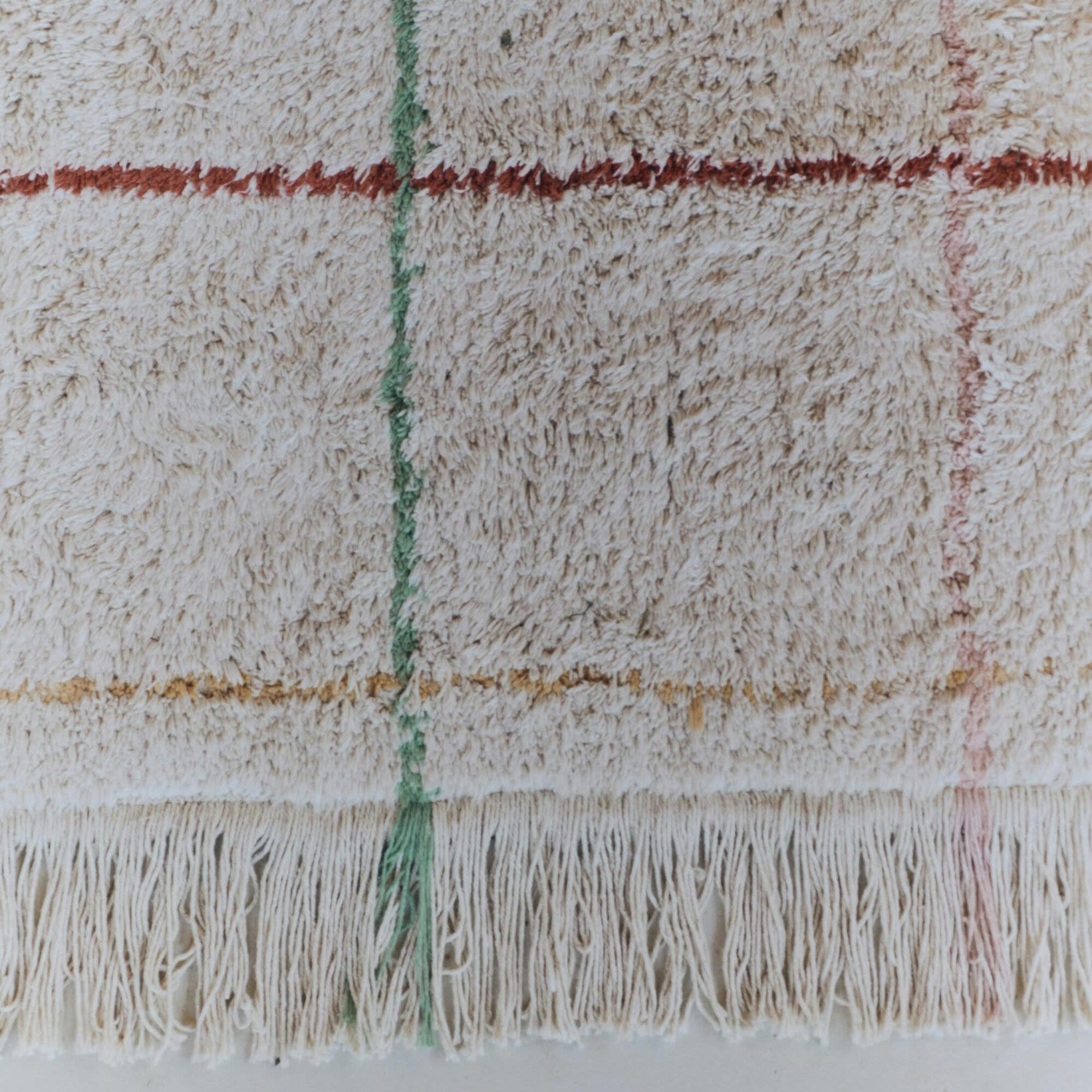 Washable Rug, Multi