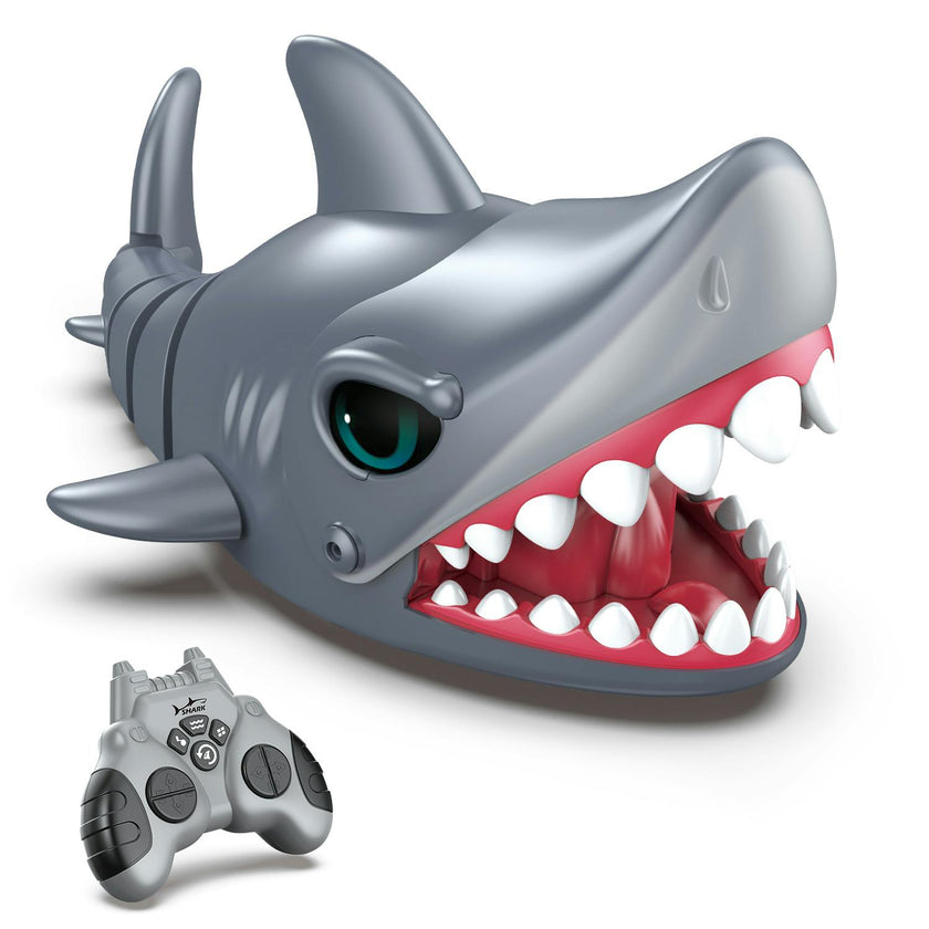 Crazy Shark