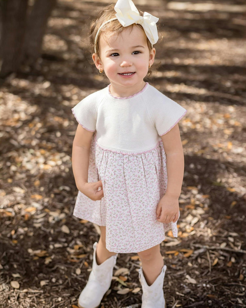 Sophie Knit Dress
