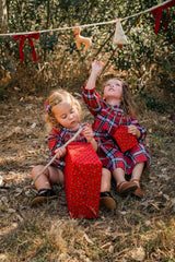 Nora Dress in Heritage Tartan