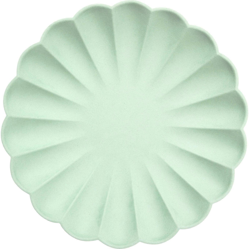 Mixed Simply Eco Plates Large