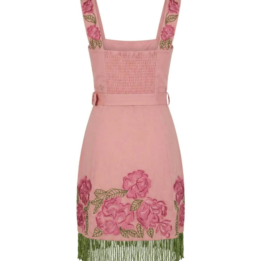 Sarah Bird Mini Dress