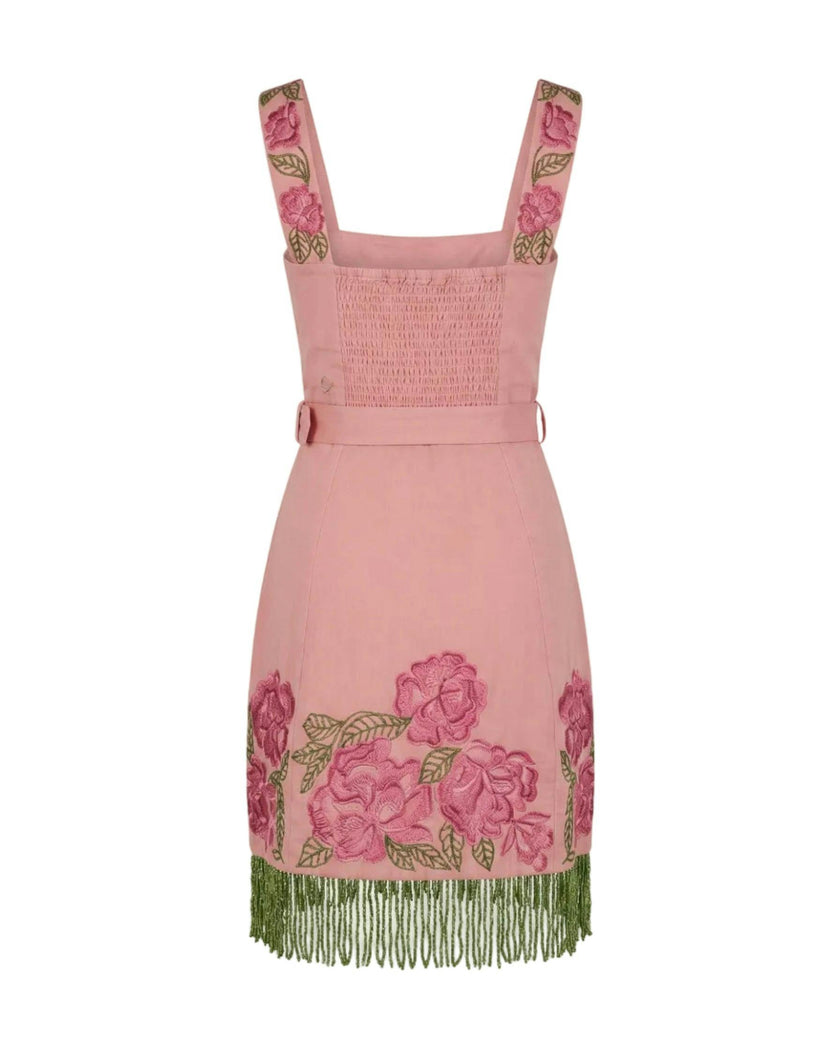 Sarah Bird Mini Dress