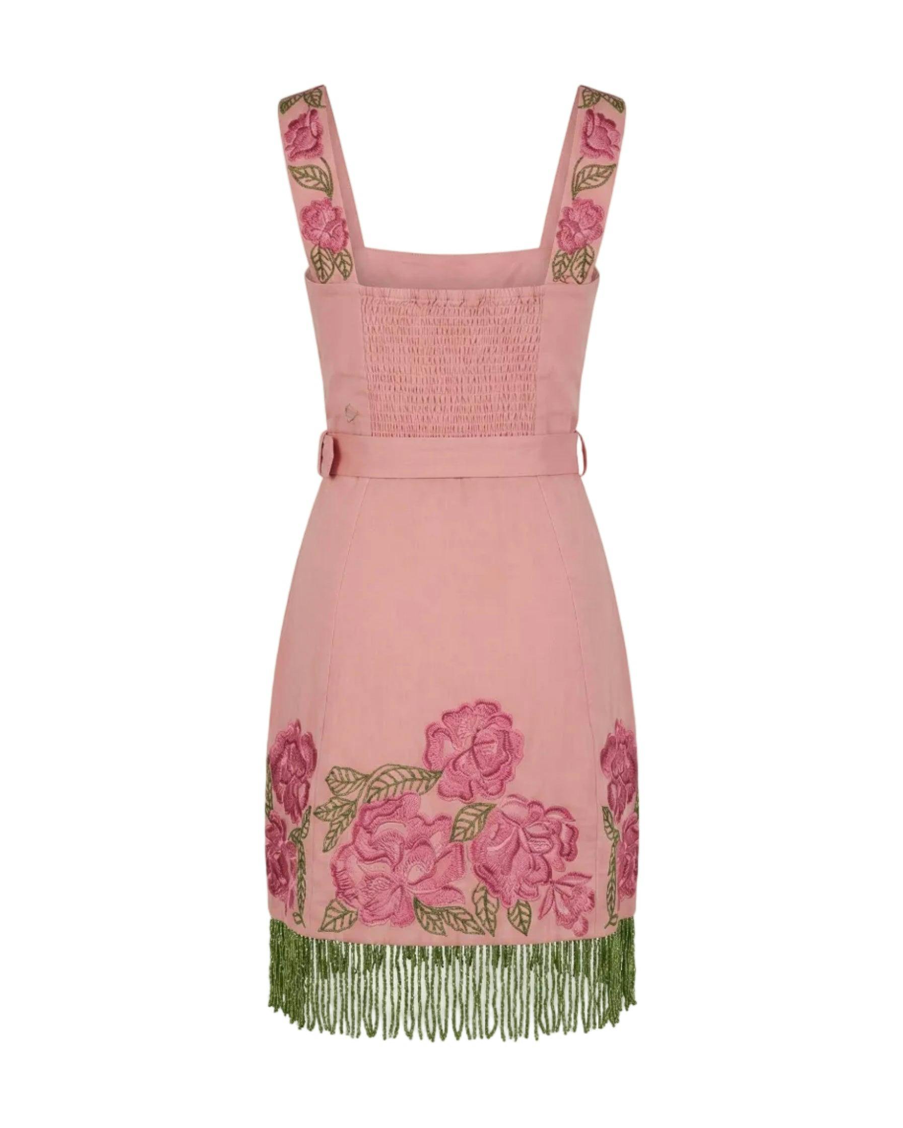 Sarah Bird Mini Dress