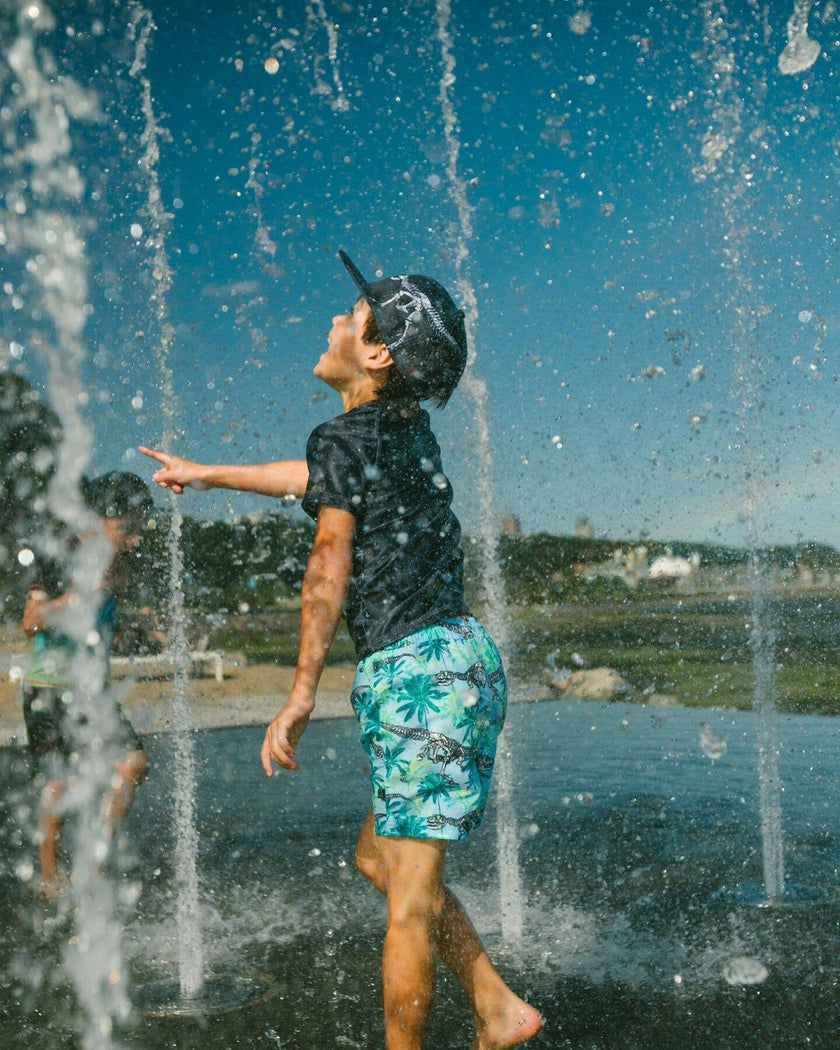 Boardshorts