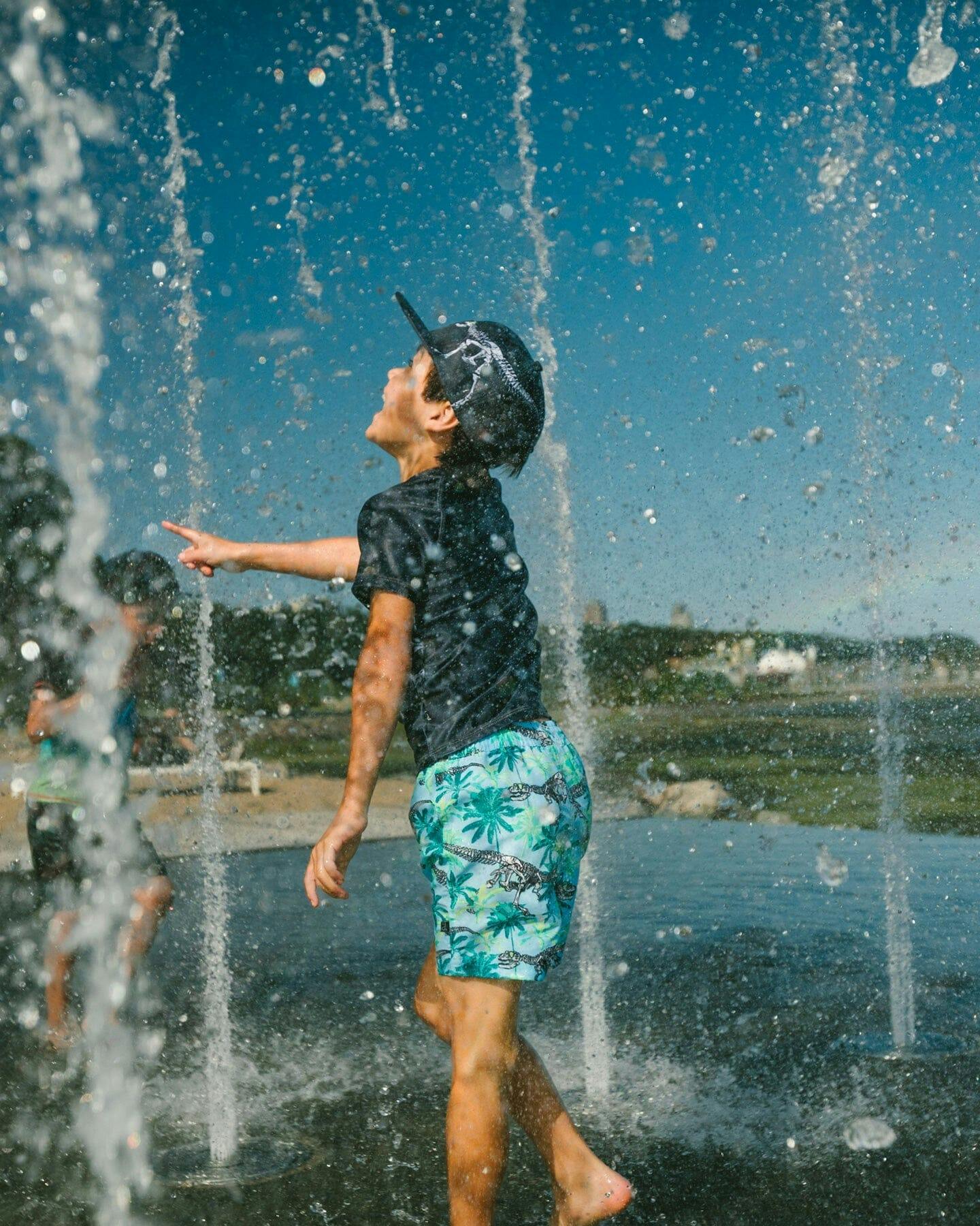 Boardshorts