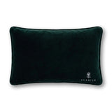 Emails Finding Me Needlepoint Pillow