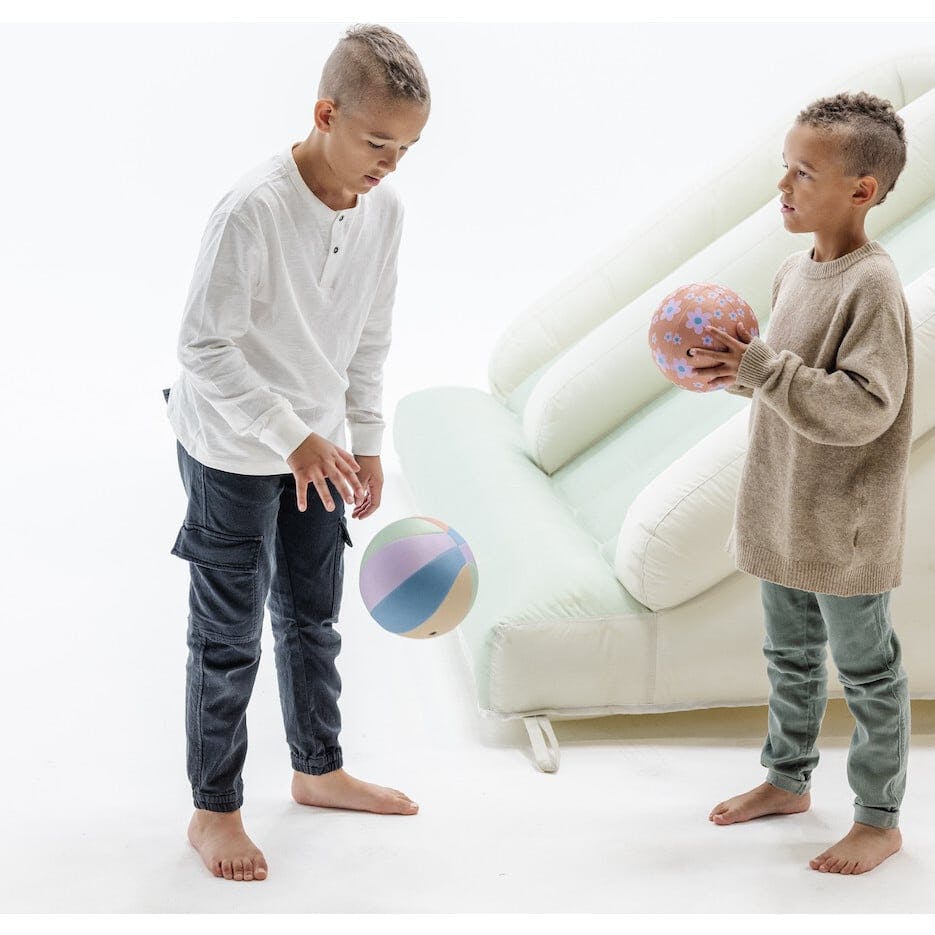 Plush Indoor Ball (2 Pack)