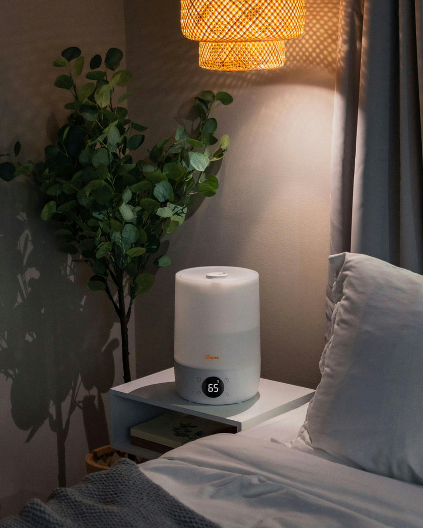 Top Fill Cool Mist Humidifier, 1.2 Gallon with Sleep Support Light & Essential Oil Tray