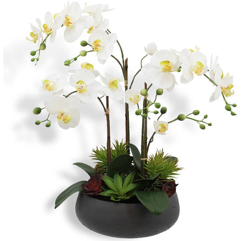 Artificial Orchid with Succulents
