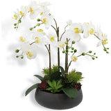 Artificial Orchid with Succulents