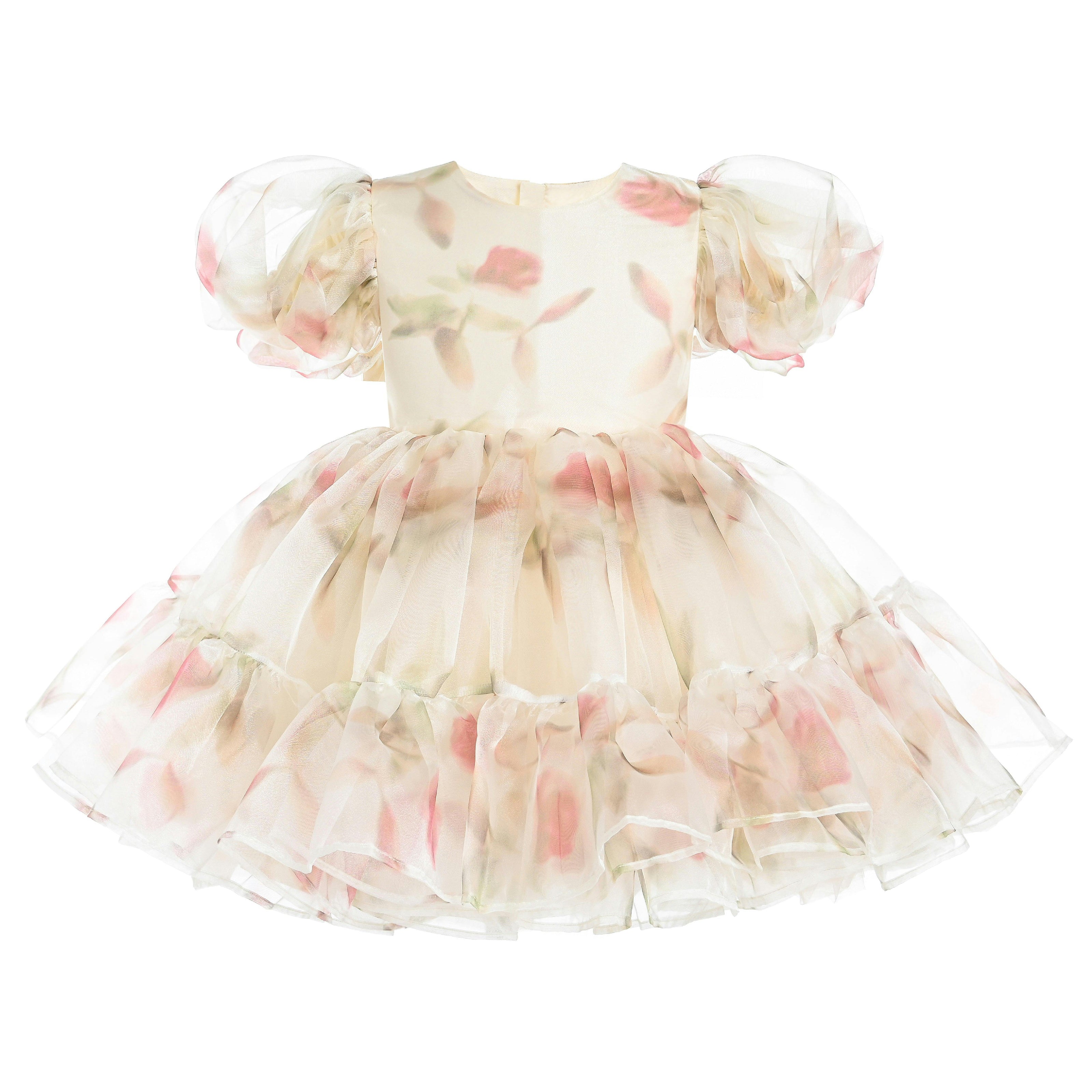 Cream Elanora Floral Organza Dress
